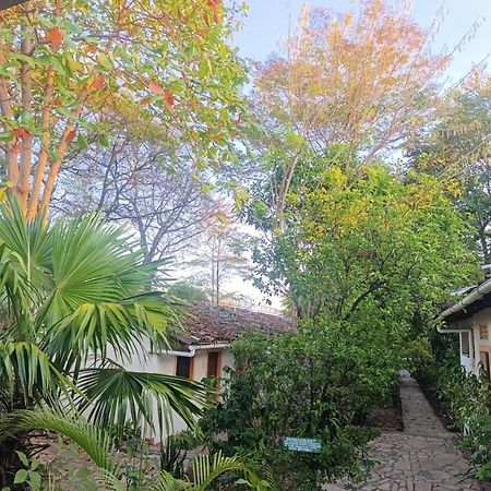 Hotel Casa Barcelona Ґранада Екстер'єр фото