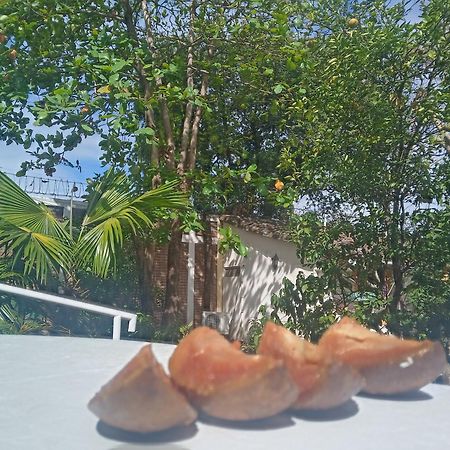 Hotel Casa Barcelona Ґранада Екстер'єр фото