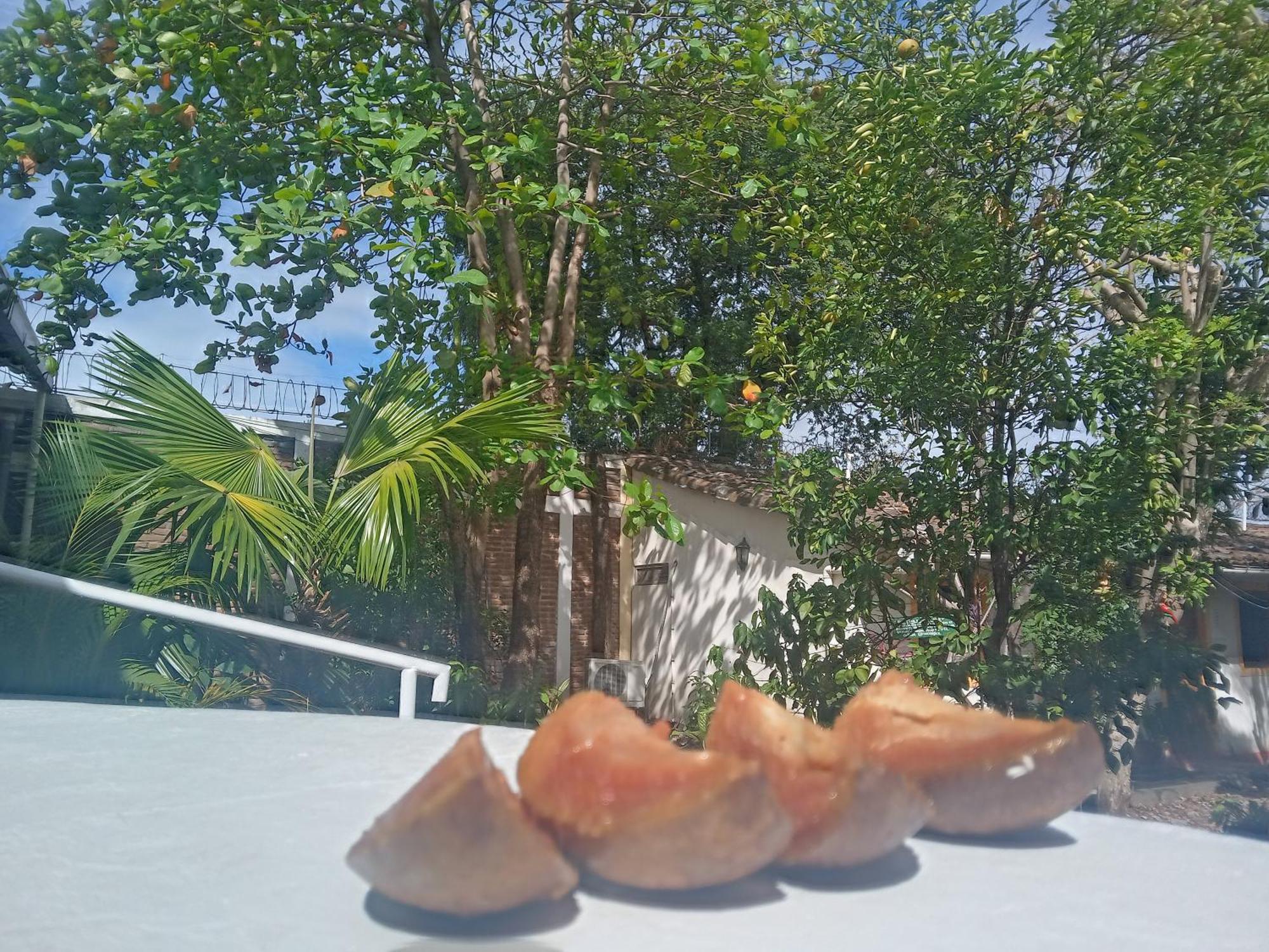 Hotel Casa Barcelona Ґранада Екстер'єр фото